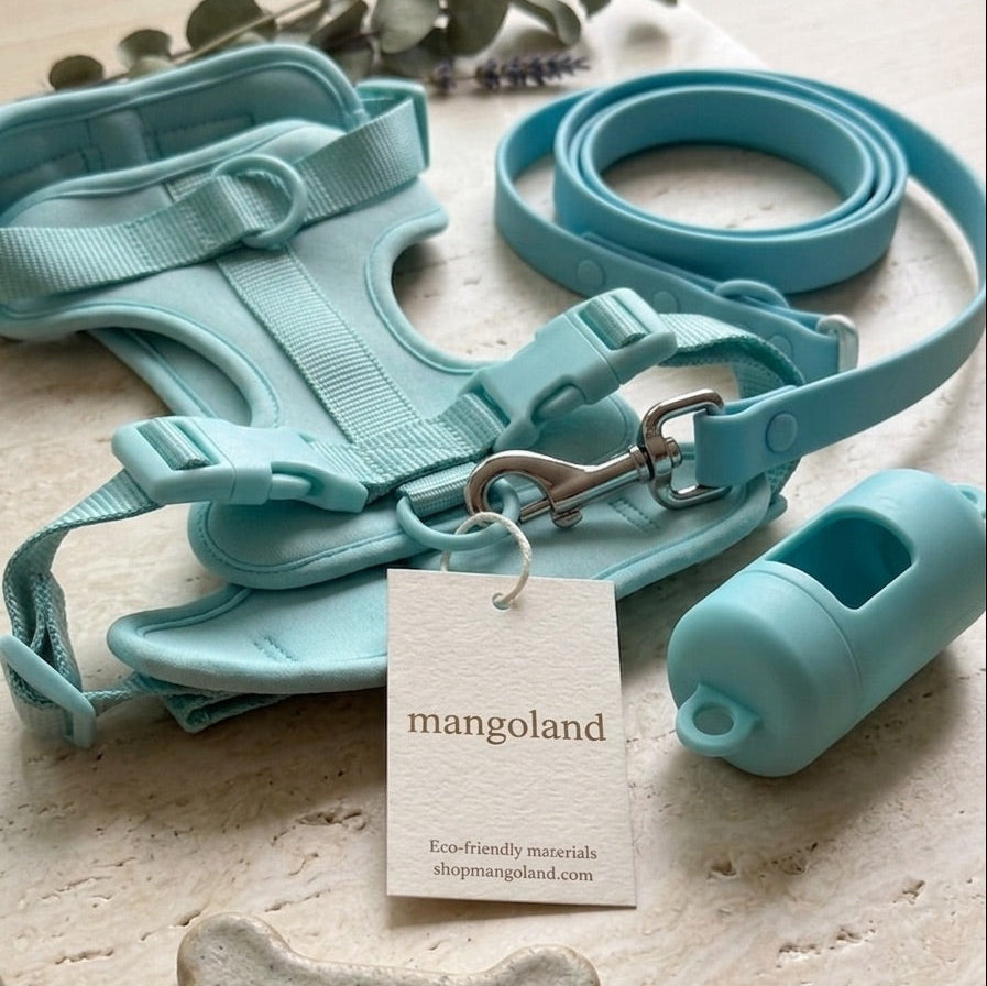 The Dog Signature Walking Adventure Set